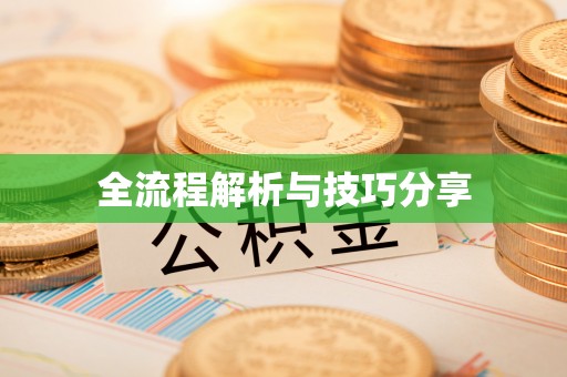 龙江全流程解析与技巧分享